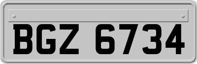 BGZ6734