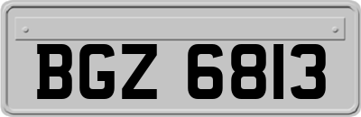 BGZ6813