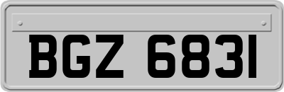 BGZ6831