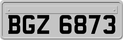 BGZ6873