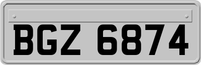 BGZ6874