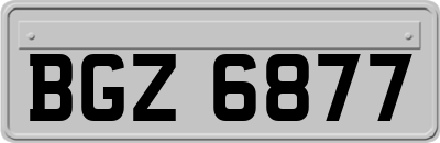 BGZ6877