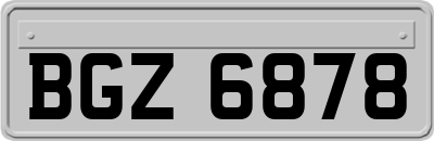BGZ6878