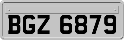 BGZ6879