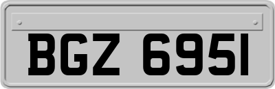 BGZ6951