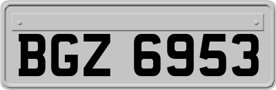 BGZ6953