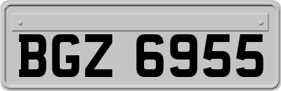 BGZ6955
