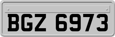 BGZ6973