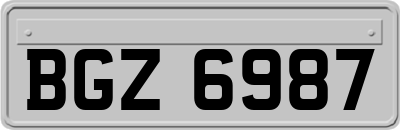 BGZ6987