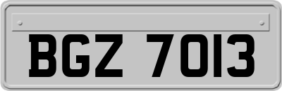 BGZ7013