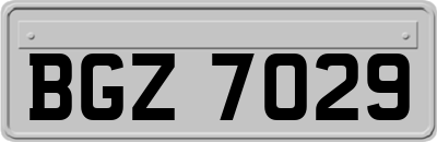 BGZ7029