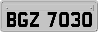 BGZ7030