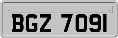 BGZ7091