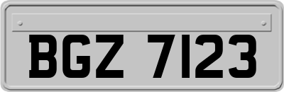 BGZ7123