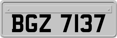 BGZ7137