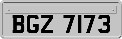 BGZ7173