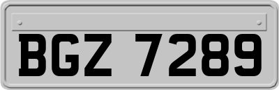 BGZ7289