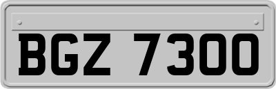 BGZ7300