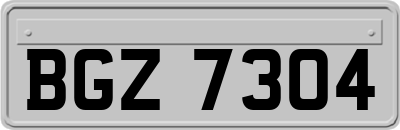 BGZ7304