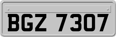BGZ7307