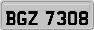 BGZ7308
