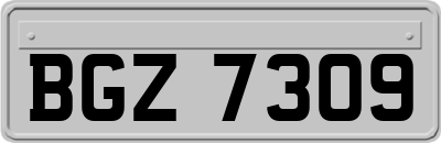 BGZ7309