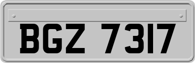 BGZ7317