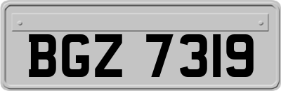 BGZ7319