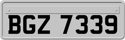 BGZ7339