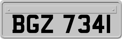 BGZ7341