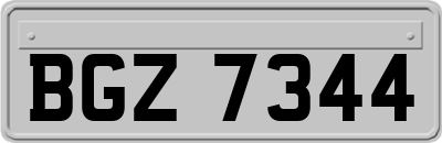 BGZ7344