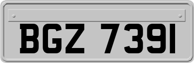 BGZ7391
