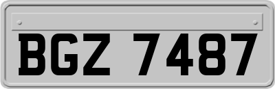 BGZ7487