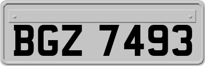 BGZ7493