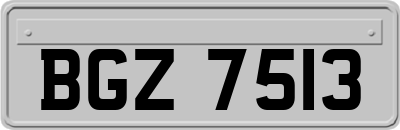BGZ7513