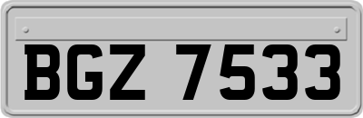 BGZ7533
