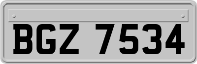 BGZ7534
