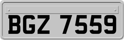 BGZ7559