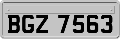 BGZ7563