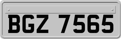 BGZ7565
