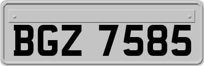 BGZ7585