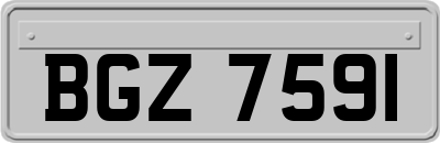 BGZ7591