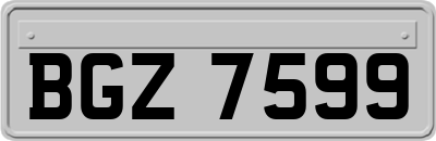 BGZ7599