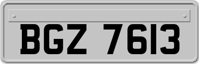 BGZ7613