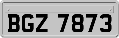 BGZ7873