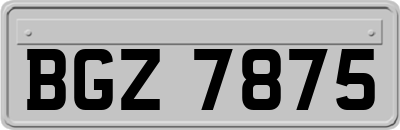BGZ7875