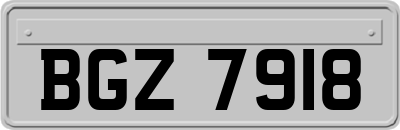 BGZ7918