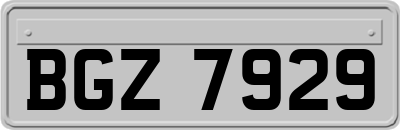 BGZ7929