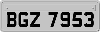 BGZ7953