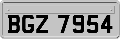 BGZ7954